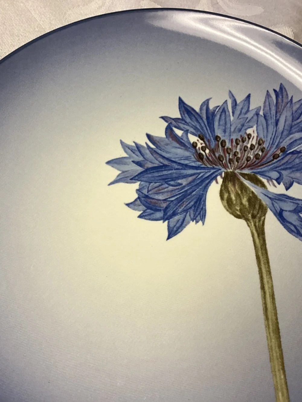 NORITAKE COLORWAVE. BLUE CORNFLOWER PLATES 4 pieces new